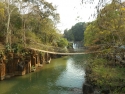 pont suspendu (bambou)
