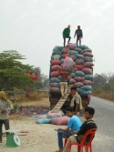 transport des sacs de manioc